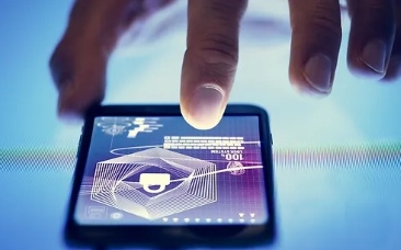 Privacy Policy and Cookies